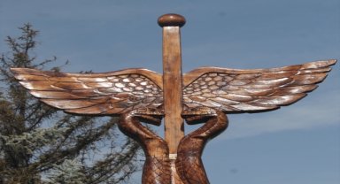 Erciyes Üniversitesi yerleşkesindeki kuruyan ağaçlar sanat eserine dönüştürüldü