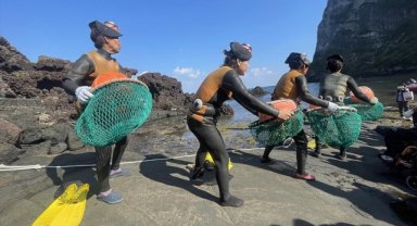 Güney Kore'nin 80 yaş üstü "deniz kadınları" geçimlerini derin sulara dalarak sağlıyor