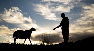 Hayvancılık destek projeleriyle gelişiyor
