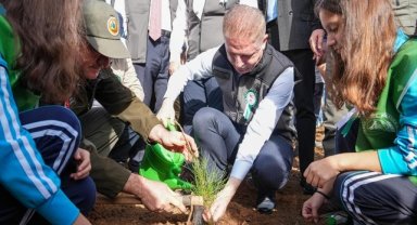 İstanbul Valiliğinin etkinliğiyle Beykoz'da yanan ormanlık alana fidan dikildi