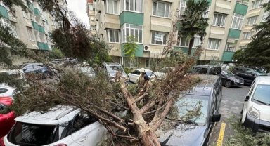 İstanbul'da fırtına hayatı olumsuz etkiledi