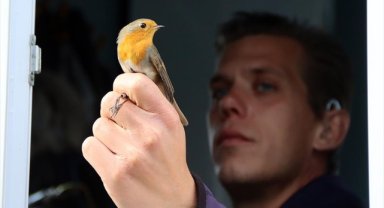 İsveçli kuş bilimci, Iğdır'da halkalama ve araştırma yapıyor