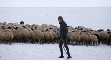 Kars'ta merada kar yağışına yakalanan besiciler zor anlar yaşadı