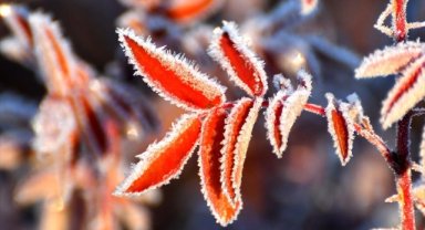 Kars'ta soğuk hava etkili oldu
