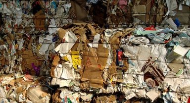 Karton ambalaj sektörü "Yeşil Dalga"yı radarına aldı