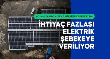 Kastamonu'da sarımsak fabrikasının enerjisi güneşten karşılanıyor