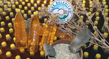 Kayseri'de hasat edilen aspirin yağı depremzedelere gönderilecek