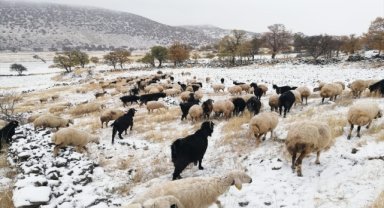 Kayseri'de yaylacılar kar yağışı nedeniyle erken dönüş yaptı