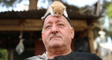 Kedi sevgisi müteahhitlerin tekliflerine "dur" dedirtti