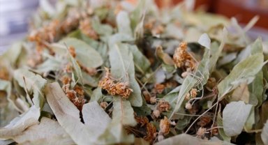 Kış çayları açıkta satılmamalı