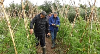 Mersin'de etkili olan dolu, tarım ürünlerine zarar verdi