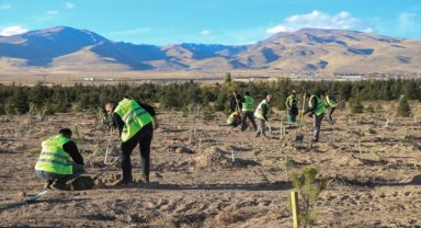 Niğde Belediyesi öğretmenler için 2 bin 872 fidan dikti