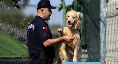 Özel eğitimli köpek "Şans"a yangınlarda büyük görev düşüyor