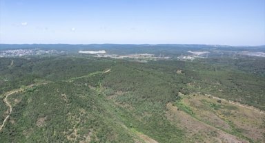 Selin önlenmesi için şehirlerde "yeşil alanlar" artırılmalı