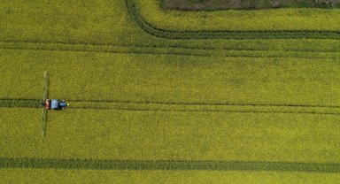 Tarımdaki biyolojik mücadeleye 184 milyon lira destek sağlandı