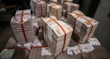 TCMB ekonomistleri, KKM sahibi firmaların döviz alım davranışlarını analiz etti