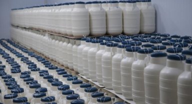 TİGEM, ihaleyle 65 bin 835 ton inek sütü satacak