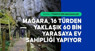Trakya'nın tek turizme açık mağarası yarasalarıyla ziyaretçi çekiyor