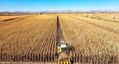 Türkiye ve AB tarım sorunlarını diyalogla çözmeye çalışacak