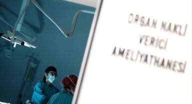 Türkiye'de 10 ayda beyin ölümü gerçekleşen kişilerin yüzde 16'sının organları bağışlandı