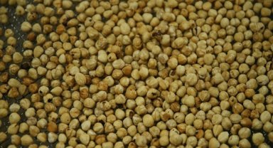 Türkiye'nin 10 aylık fındık ihracatının yüzde 31'i Trabzon'dan