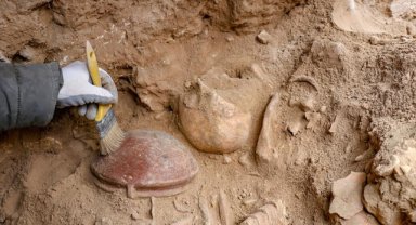 Van'da nekropol alandaki iskeletlerde "beyin ameliyatı" izine rastlandı