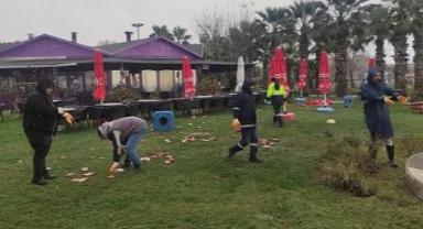 Yalova Belediyesi ekipleri sahilleri temizledi