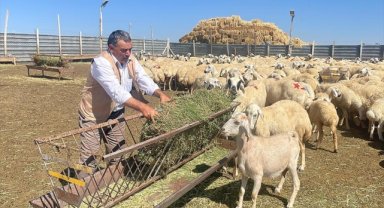Yozgat'ta "Çadır ağıl" projesiyle küçükbaş hayvan sayısının artırılması hedefleniyor