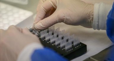 ABD'li genetik araştırma şirketi, yaklaşık 6,9 milyon kullanıcısının bilgilerinin çalındığını açıkladı