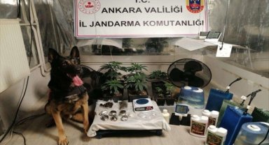 Ankara'da jandarma ekipleri kaçakçılık ve uyuşturucu operasyonları düzenledi