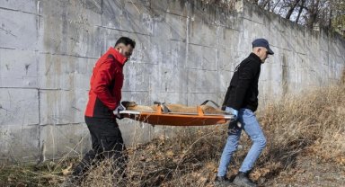 Ankara'da lise öğrencinin yaralandığı bölgedeki sahipsiz köpekler belediye ekiplerince yakalandı