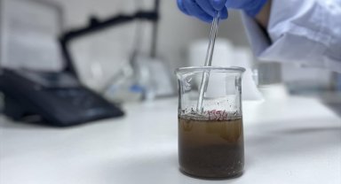 Antalya'daki laboratuvarda yapılan toprak analiziyle ormanlar için uygun ağaçlar belirleniyor