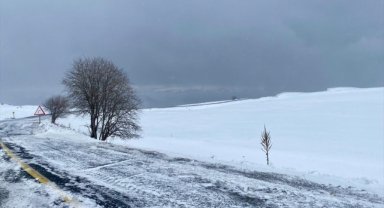 Ardahan ve Kars'ta kar etkili oluyor
