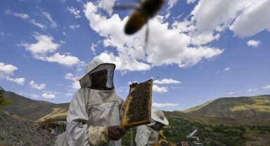 Arıcılık sektörü gelecek yıl arı ürünleri üretimine destek bekliyor