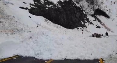 Artvin'de çığ nedeniyle Borçka-Camili kara yolu ulaşıma kapandı