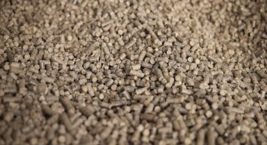 Atıkları değerlendirmek için pelet üretip ihracata başladılar 