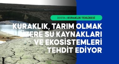 Avrupa'da derinleşen kuraklık birçok sektörü tehdit ediyor