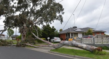 Avustralya'da şiddetli fırtına nedeniyle binlerce kişi elektriksiz kaldı