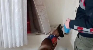 Bakan Yerlikaya, Narkogüç-38 Operasyonu'nun tamamlandığını bildirdi