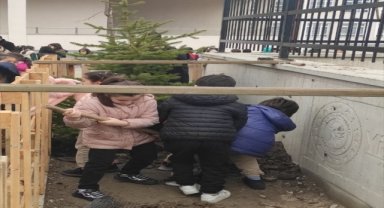 Başkentte ilkokul ve ortaokul öğrencileri fidan dikti
