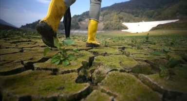 BM: Tarım-gıda sektörü, iklim değişikliği nedeniyle artan bir tehditle karşı karşıya