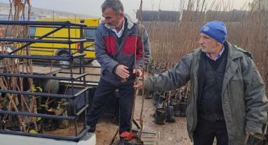 Büyükşehir'in yüzde 50 hibeli meyve fidanı dağıtımı başladı