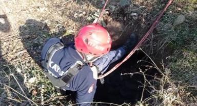 Büyükşehir İtfaiyesi'nden buzağı operasyonu