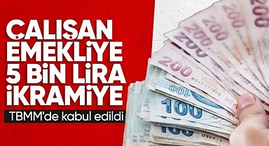 Çalışan emeklilere 5 bin lira verilmesini öngören teklif TBMM'den geçti