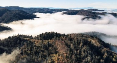 Çam Dağı'nda renk cümbüşüyle bütünleşen sis bulutu dronla görüntülendi