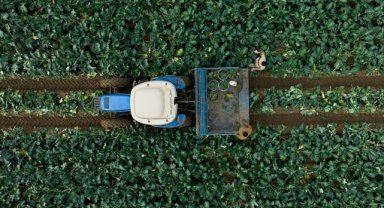 Çiftçilere bugün 2 milyar 32 milyon liralık destekleme ödemesi yapılacak