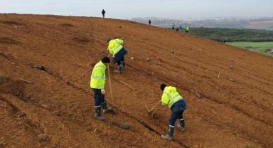 Dilovası’nda geleceğe 8 bin ağaçlık nefes