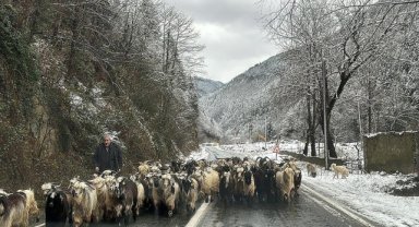Doğu Karadeniz'de ulaşım sağlanamayan 395 köy yolundan 287'si açıldı