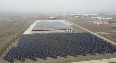 Erzincan'daki fabrikada atık orman ürünleri "pelet" ile ekonomiye kazandırılıyor