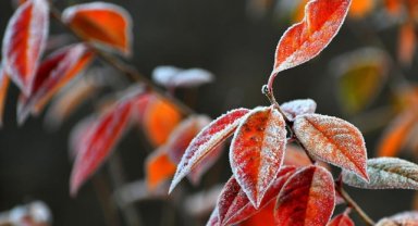 Erzurum, Ardahan, Kars, Tunceli ve Ağrı'da soğuk hava etkisini sürdürüyor